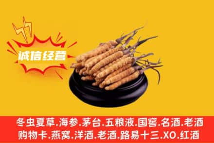 南阳内乡县回收冬虫夏草